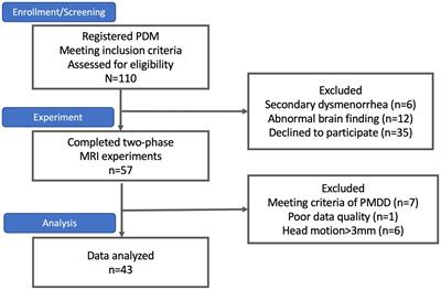 OPRM1 A118G polymorphism modulating motor pathway for pain adaptability in women with primary dysmenorrhea